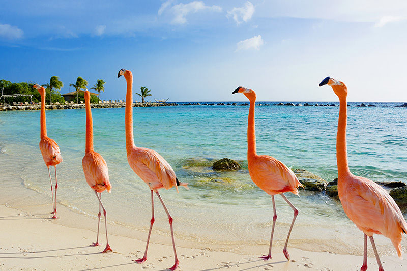 Maximize Your Vacation in Mexico and the Caribbean